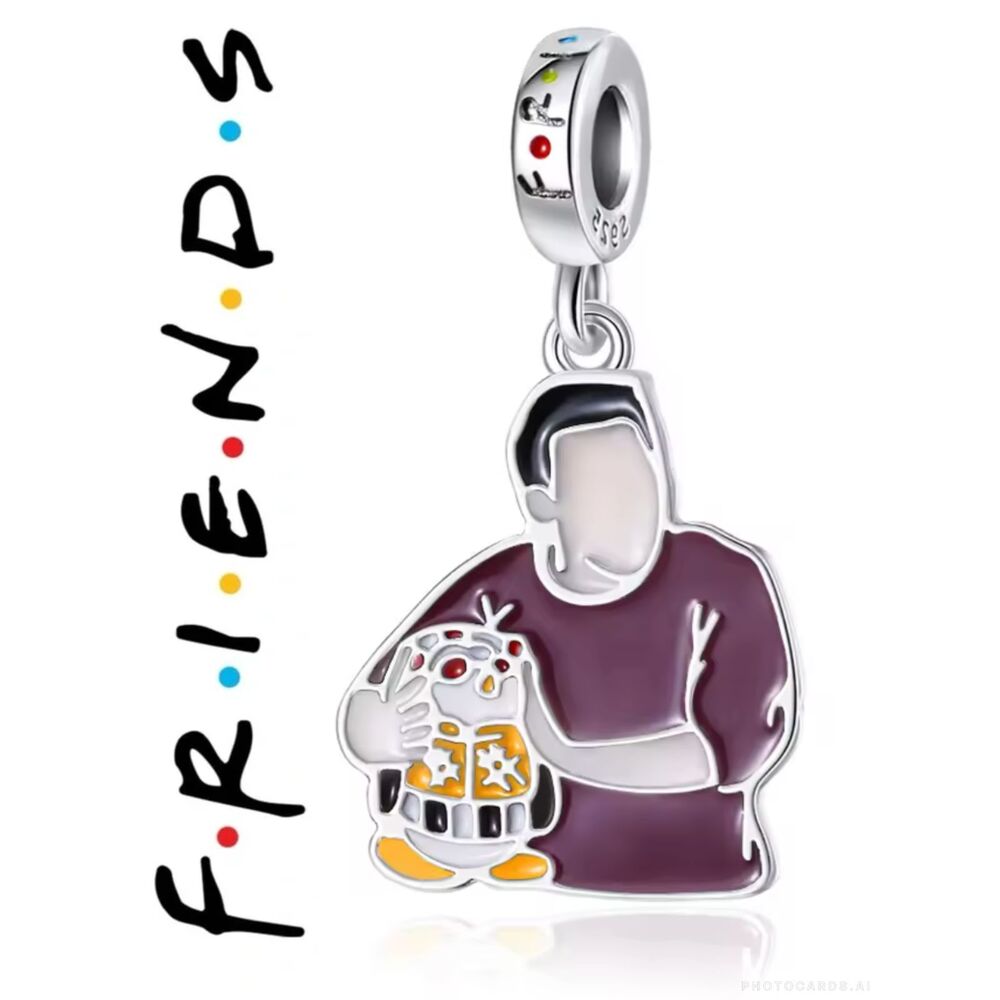 NWOT Friends TV Series Hugsy & Joey Pandora FIT Silver Charm